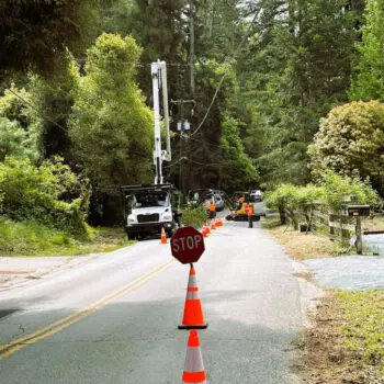 Tree trimming service on road