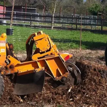 Stump grinder removing tree stump