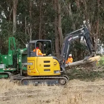 Tree trimming machinery and workers