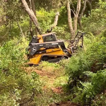Tree trimming equipment in forest