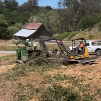 Excavator moving tree branches outdoors