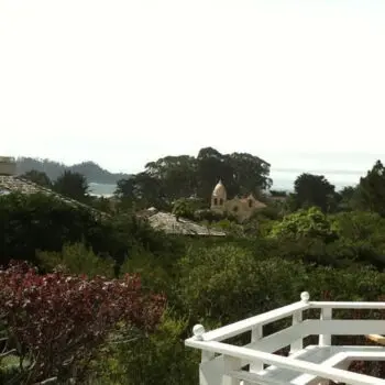 Lush trees near coastal homes