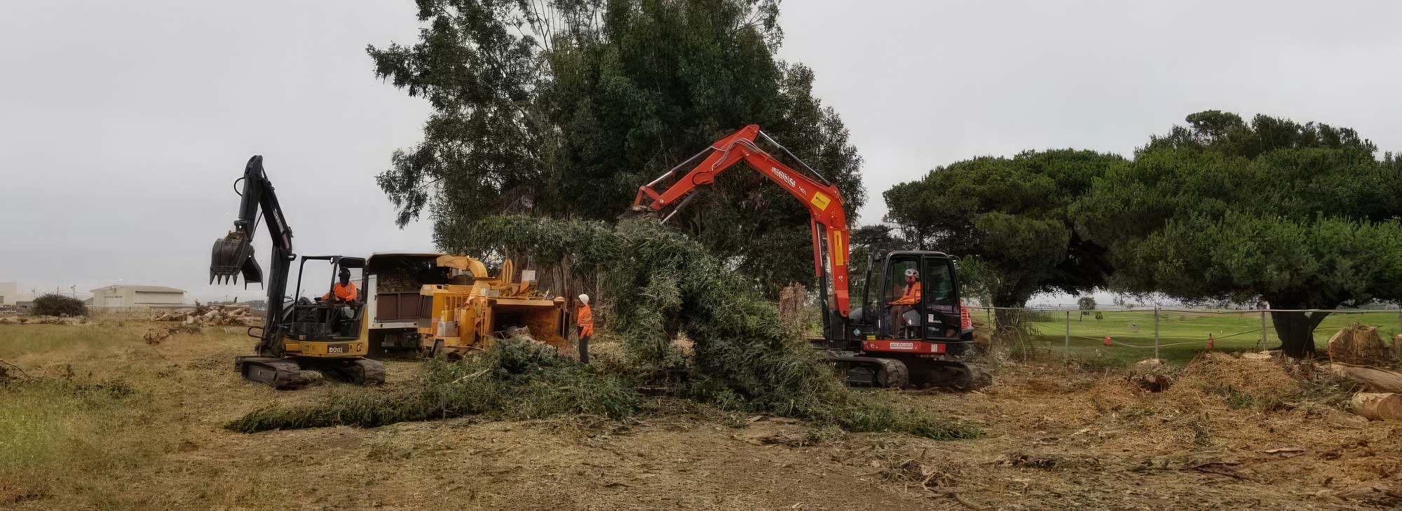 Tree trimming with heavy machinery